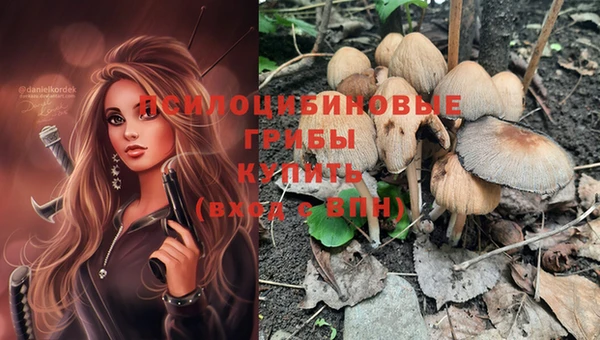 каннабис Бородино
