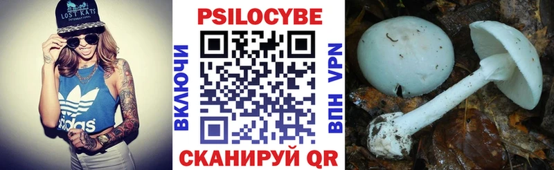 Псилоцибиновые грибы Psilocybine cubensis  Ахтырский 
